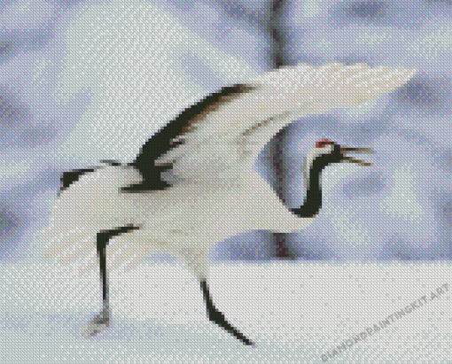 Red Crowned Crane Diamond Painting