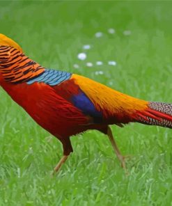 Golden Pheasant Diamond Painting