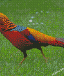 Golden Pheasant Diamond Painting