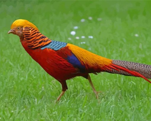 Golden Pheasant Diamond Painting