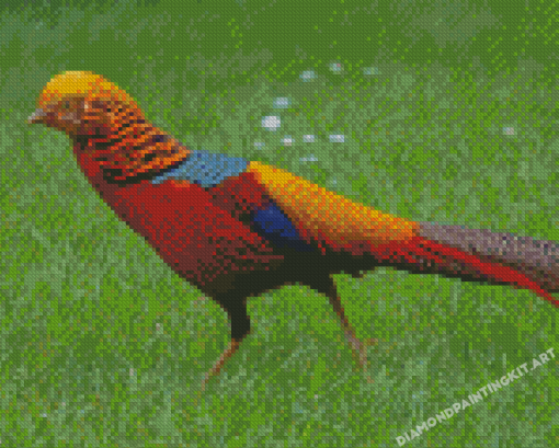 Golden Pheasant Diamond Painting