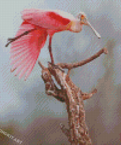 Roseate Spoonbill Diamond Painting