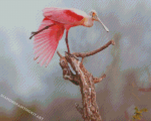 Roseate Spoonbill Diamond Painting