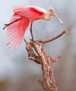 Roseate Spoonbill Diamond Painting