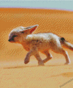 Sandfox In Desert Diamond Painting