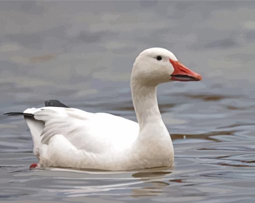 Snow Goose Diamond Painting