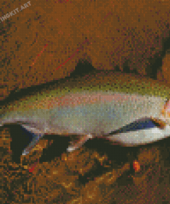 Steelhead Fish Diamond Painting