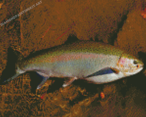 Steelhead Fish Diamond Painting