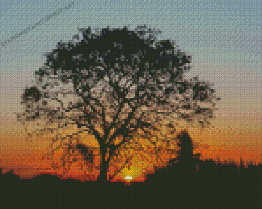 Trees At Sunset Diamond Painting