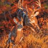 Whitetail Buck And Doe Diamond Painting