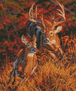 Whitetail Buck And Doe Diamond Painting