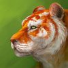 Abstract Golden Tiger Diamond Painting