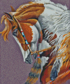 Indian War Pony Diamond Painting