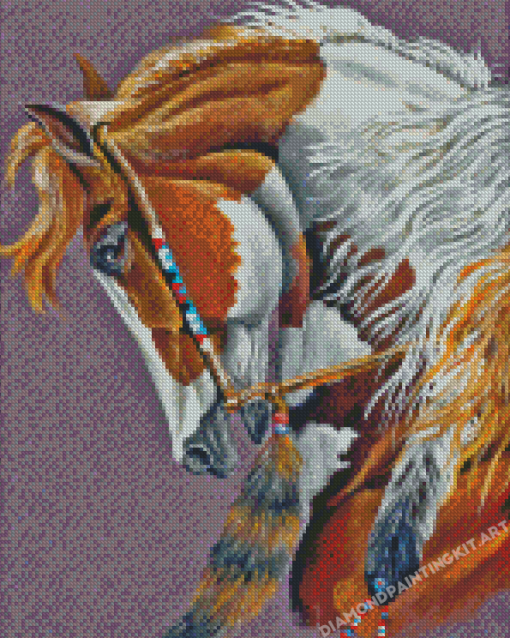 Indian War Pony Diamond Painting