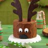 Brown Christmas Reindeer Cake Diamond Painting