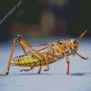 Close Up Grasshopper Diamond Painting