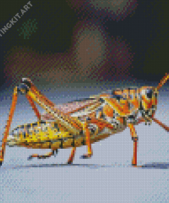 Close Up Grasshopper Diamond Painting