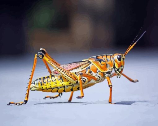 Close Up Grasshopper Diamond Painting