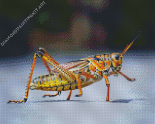 Close Up Grasshopper Diamond Painting