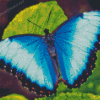 Blue Buttefly Diamond Painting