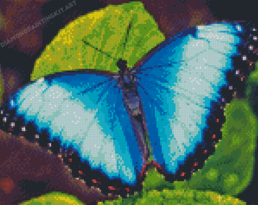 Blue Buttefly Diamond Painting