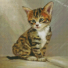 Tabby Kitten Diamond Painting