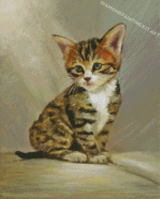 Tabby Kitten Diamond Painting