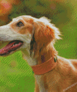 Cute Saluki Dog Diamond Painting