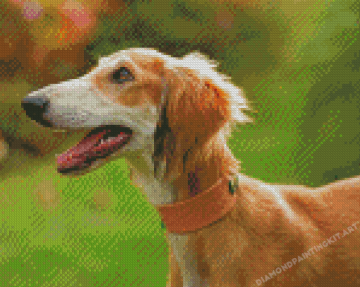 Cute Saluki Dog Diamond Painting