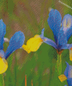 Bloom Blue Irises Diamond Painting