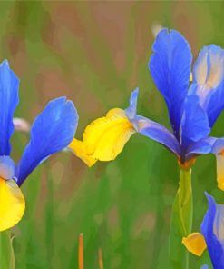 Bloom Blue Irises Diamond Painting