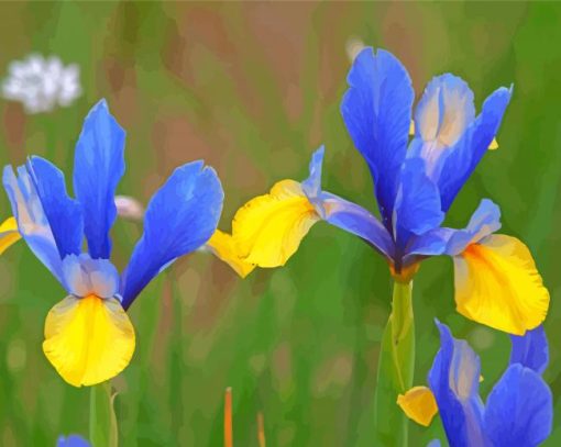 Bloom Blue Irises Diamond Painting