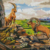 Ibex Animals Art Diamond Painting