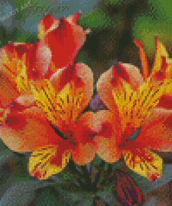 Orange Alstroemeria Diamond Painting