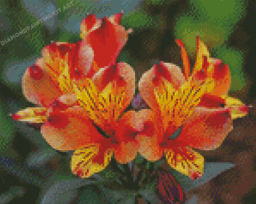 Orange Alstroemeria Diamond Painting