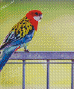 Parakeet Eastern Rosella Diamond Painting