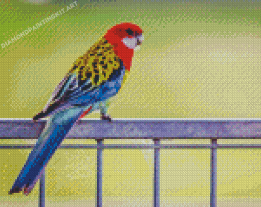 Parakeet Eastern Rosella Diamond Painting