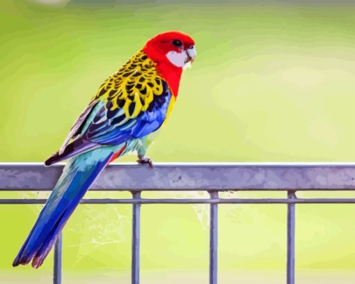 Parakeet Eastern Rosella Diamond Painting