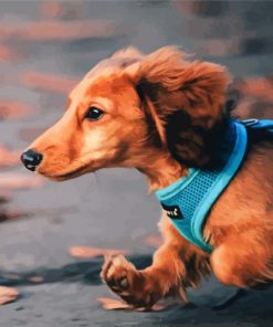 Saluki Running Diamond Painting