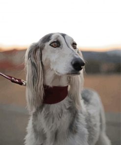 Saluki Pet Dog Diamond Painting