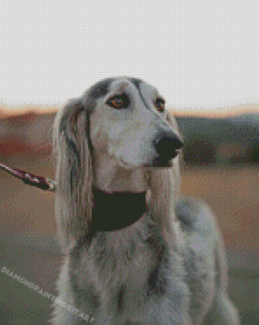 Saluki Pet Dog Diamond Painting