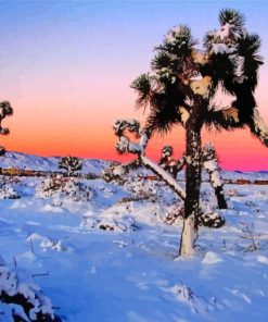 Winter Snow Desert Diamond Painting