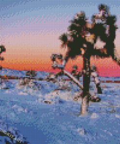 Winter Snow Desert Diamond Painting