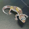 Western Desert Gecko Diamond Painting