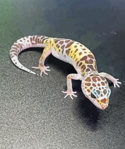 Western Desert Gecko Diamond Painting