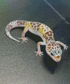 Western Desert Gecko Diamond Painting