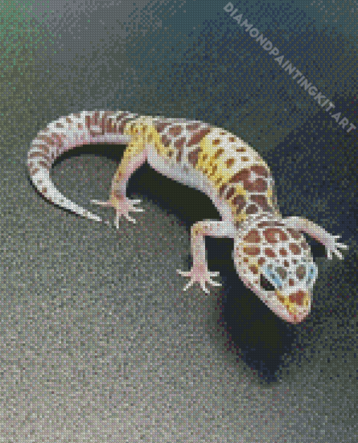 Western Desert Gecko Diamond Painting