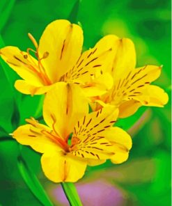 Beautiful Yellow Alstroemeria Diamond Painting