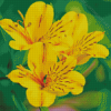 Beautiful Yellow Alstroemeria Diamond Painting