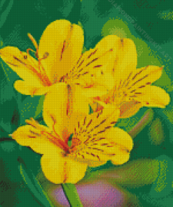 Beautiful Yellow Alstroemeria Diamond Painting